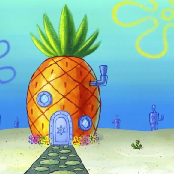 Meet your Posher, Bailey - Picture 1 of 1